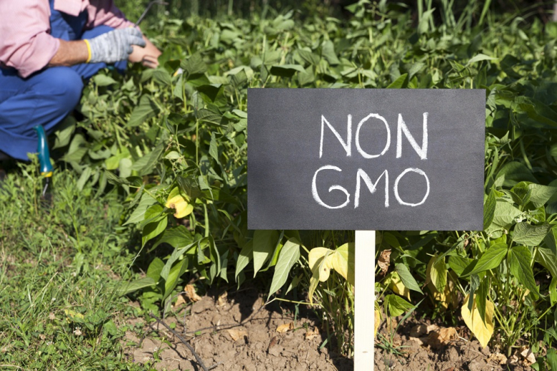 Для защиты от ГМО поставляемое в Россию зерно будут стерилизовать